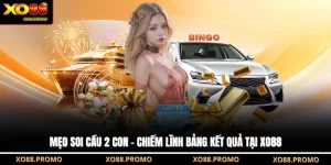 Mẹo Soi Cầu 2 Con - Chiếm Lĩnh Bảng Kết Quả Tại XO88